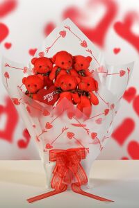 Premium Yumoş Kırmızı Peluş Ayıcık Buketi, Sevgiliye, Doğum Gününe Hediye