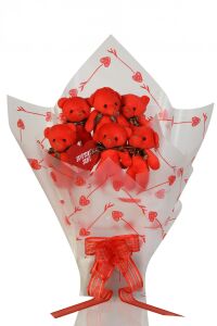 Sevimli Peluş Panda ile Premium Yumoş Kırmızı Peluş Ayıcık Buketi
