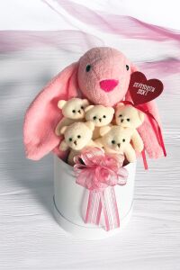 SOLE Premium Özel Hediye Kutusunda  45 cm Pembe Bunny Tavşan ve 5 Adet Krem Peluş Ayıcık Buketi