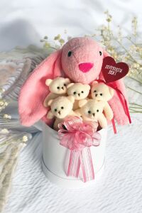 SOLE Premium Özel Hediye Kutusunda  45 cm Pembe Bunny Tavşan ve 5 Adet Krem Peluş Ayıcık Buketi