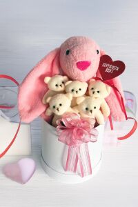 SOLE Premium Özel Hediye Kutusunda  45 cm Pembe Bunny Tavşan ve 5 Adet Krem Peluş Ayıcık Buketi