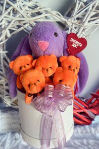 SOLE Premium Özel Hediye Kutusunda  45 cm Bunny Tavşan ve 5 Adet Turuncu Peluş Ayıcık Buketi