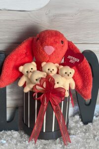 SOLE Premium Özel Hediye Kutusunda 45 cm Mercan Bunny Tavşan ve 5 Adet Krem Peluş Ayıcık Buketi