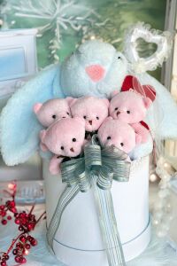 SOLE Premium Özel Hediye Kutusunda 45 cm Mavi Bunny Tavşan ve 5 Adet Pembe Peluş Ayıcık Buketi