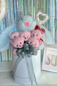 SOLE Premium Özel Hediye Kutusunda 45 cm Mavi Bunny Tavşan ve 5 Adet Pembe Peluş Ayıcık Buketi