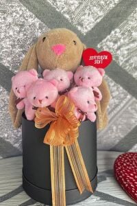 SOLE Premium Özel Hediye Kutusunda  45 cm Bunny Tavşan ve 5 Adet Pembe Peluş Ayıcık Buketi