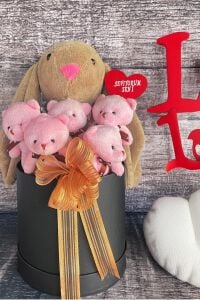 SOLE Premium Özel Hediye Kutusunda  45 cm Bunny Tavşan ve 5 Adet Pembe Peluş Ayıcık Buketi