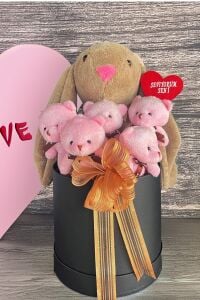 SOLE Premium Özel Hediye Kutusunda  45 cm Bunny Tavşan ve 5 Adet Pembe Peluş Ayıcık Buketi