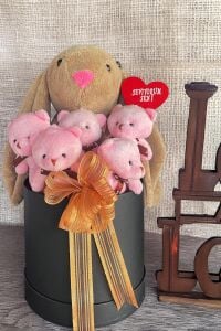 SOLE Premium Özel Hediye Kutusunda  45 cm Bunny Tavşan ve 5 Adet Pembe Peluş Ayıcık Buketi