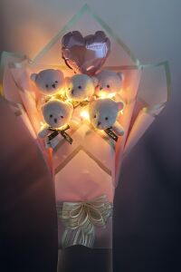Sole Sevgiliye Led ıŞIKLI Özel Pembe Konsept Balonlu Romantik Peluş Ayıcık Buketi
