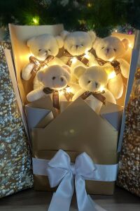 Sole Sevgiliye Özel Peri LED Işıklı Dore-Gümüş Konsept Romantik Peluş Ayıcık Buketi