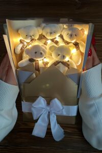 Sole Sevgiliye Özel Peri LED Işıklı Dore-Gümüş Konsept Romantik Peluş Ayıcık Buketi