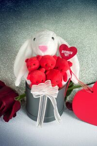 SOLE Premium Özel Hediye Kutusunda 45 cm Beyaz Bunny Tavşan ve 5 Adet Kırmızı Peluş Ayıcık Buketi