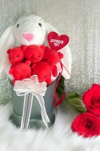 SOLE Premium Özel Hediye Kutusunda 45 cm Beyaz Bunny Tavşan ve 5 Adet Kırmızı Peluş Ayıcık Buketi