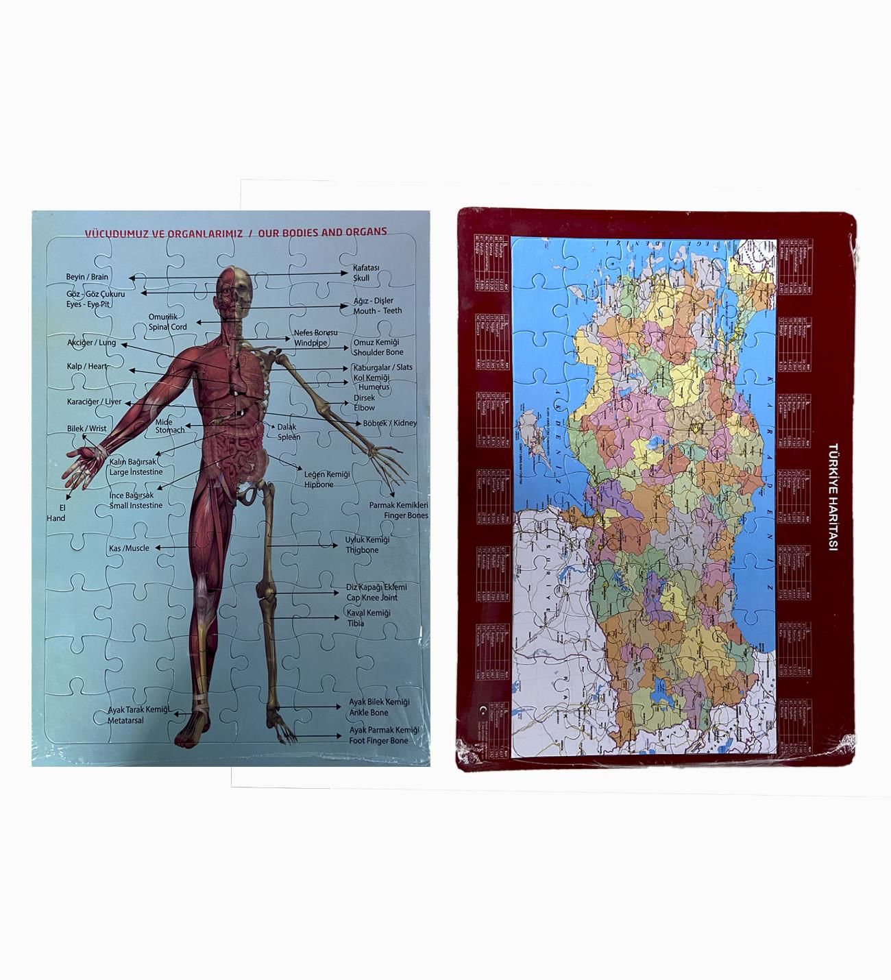2'Li Eğitici Puzzle Set Türkiye Haritası 50 parça ve İnsan Anatomisi 60 parça