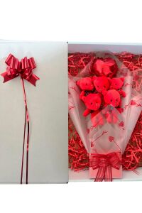 Sole Sevgiliye Özel Kırmızı Konsept Balonlu Romantik Peluş Ayıcık Buketi