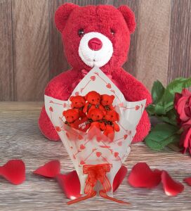 Sevimli 35 cm Peluş Ayı ile Premium Yumoş Kırmızı Peluş Ayıcık Buketi