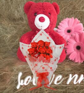 Sevimli 35 cm Peluş Ayı ile Premium Yumoş Kırmızı Peluş Ayıcık Buketi