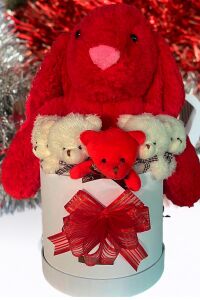 Özel Kutuda, Aşk Temalı Peluş Hediye Kutusu – Kırmızı Jellycat Tavşan & 5 Mini Ayıcık (Özel Tasarım)