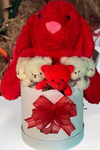 Özel Kutuda, Aşk Temalı Peluş Hediye Kutusu – Kırmızı Jellycat Tavşan & 5 Mini Ayıcık (Özel Tasarım)