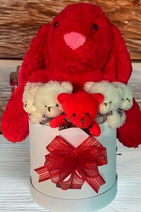 Özel Kutuda, Aşk Temalı Peluş Hediye Kutusu – Kırmızı Jellycat Tavşan & 5 Mini Ayıcık (Özel Tasarım)