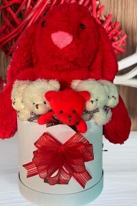 Özel Kutuda, Aşk Temalı Peluş Hediye Kutusu – Kırmızı Jellycat Tavşan & 5 Mini Ayıcık (Özel Tasarım)